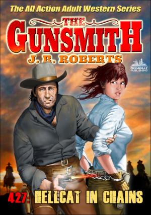 Book cover of The Gunsmith 427: Hellcat in Chains