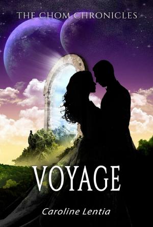 Cover of the book Voyage by Joshua Gould