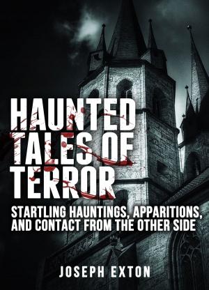 Cover of Haunted Tales of Terror: Startling Hauntings, Apparitions, and Contact From the Other Side