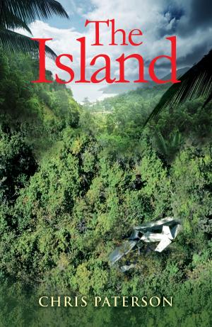Cover of the book The Island by Tommy Gordon