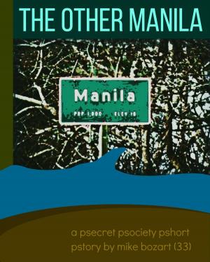 Book cover of The Other Manila