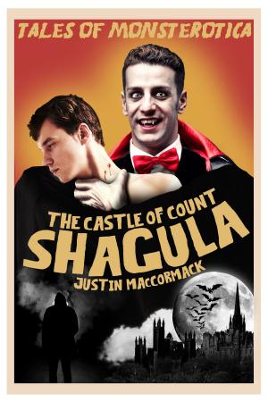 Cover of the book The Castle of Count Shagula by C.B. Archer