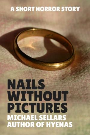 Cover of the book Nails Without Pictures by Michael Mulvihill