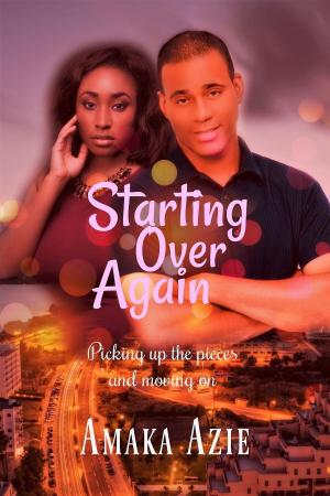 Book cover of Starting Over Again