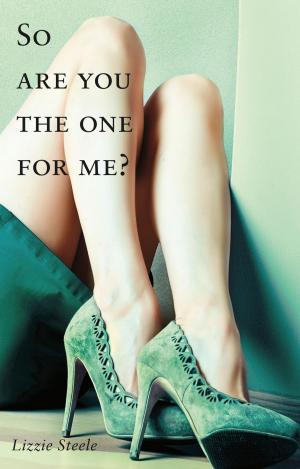 bigCover of the book So Are You The One For Me? by 