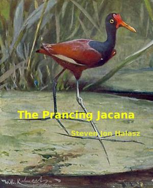 Book cover of The Prancing Jacana