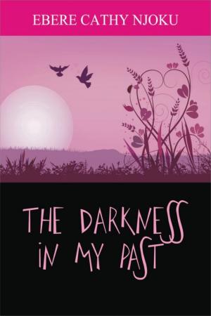 Cover of The Darkness In My Past