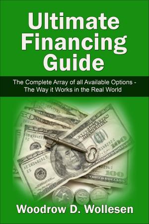 Book cover of The Ultimate Financing Guide: The Complete Array of all Available Options - The Way it Works in the Real World