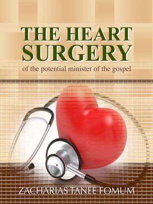 Cover of the book The Heart Surgery of The Potential Minister of The Gospel by Theodore Wanneh Andoseh