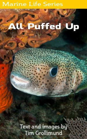 Book cover of All Puffed Up