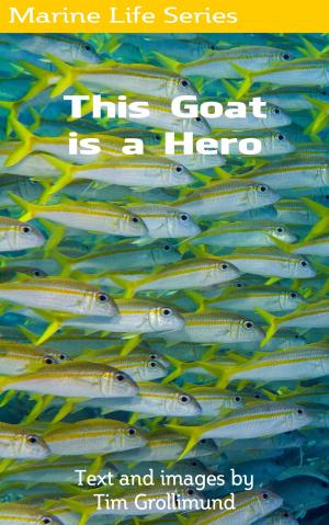 Cover of This Goat Is a Hero