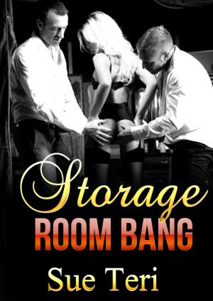 Cover of Storage Room Bang