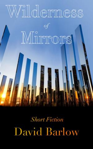 Cover of the book Wilderness of Mirrors by A. Marie Kaluza