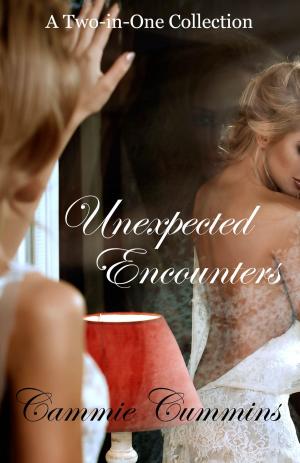 Cover of the book Unexpected Encounters by Una McCormack