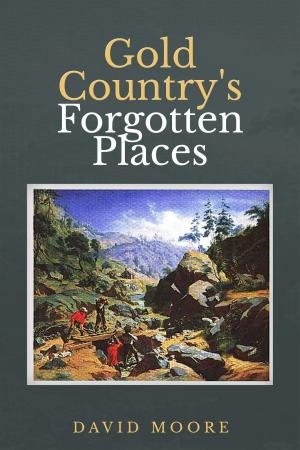 Book cover of Gold Country's Forgotten Places