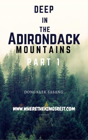 Cover of the book Deep In The Adirondack Mountains by Collectif