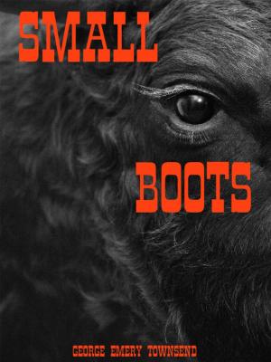 Cover of the book Small Boots by Stephanie Hunter