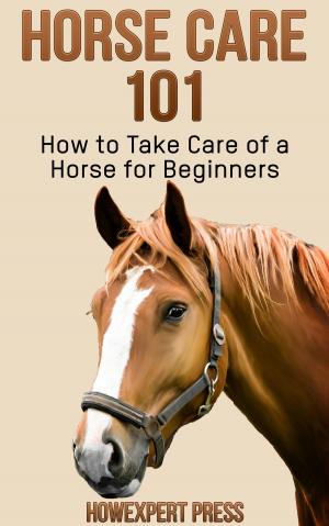 Book cover of Horse Care 101: How to Take Care of a Horse for Beginners