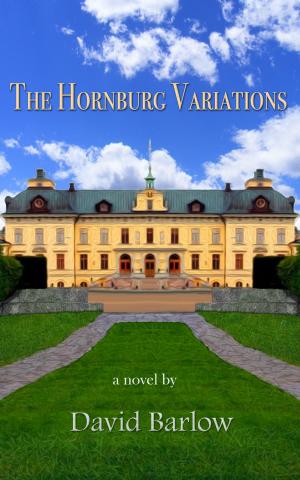 Cover of the book The Hornburg Variations by D.W. Frauenfelder