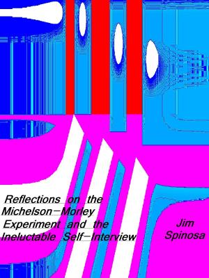 Cover of the book Reflections on the Michelson-Morley Experiment and the Ineluctable Self-Interview by a cura di Massimo Gatta