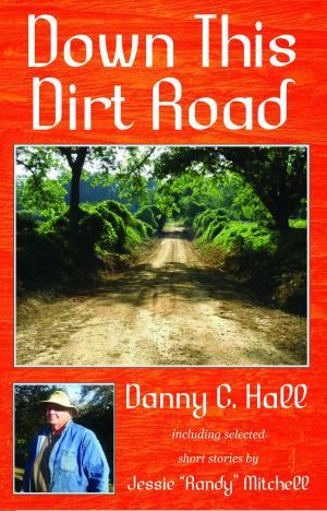 Cover of the book Down This Dirt Road by John Birnie