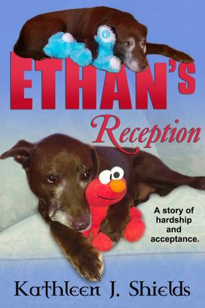 Cover of the book Ethan's Reception, a Story of Hardship and Acceptance by Sarah McVanel