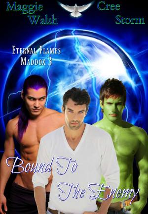 Cover of the book Bound To The Enemy Eternal Flames Maddox 3 by Luna Lance