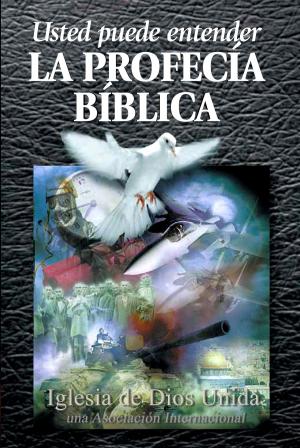 Cover of the book Usted puede entender la Profecía Bíblica by Rafael Paulino