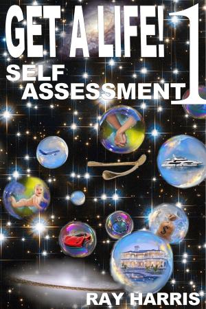 Cover of the book Get A Life! 1 Self Assessment by Fredy Seidel
