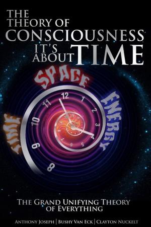 Book cover of The Theory of Consciousness It's About Time