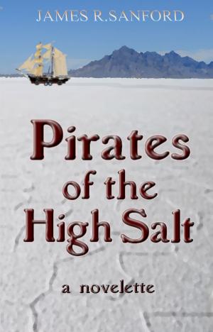 Cover of Pirates of the High Salt