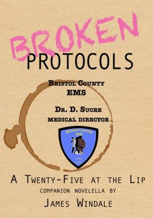 Cover of the book Broken Protocols by Amy Briggs