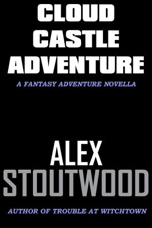 Book cover of Cloud Castle Adventure