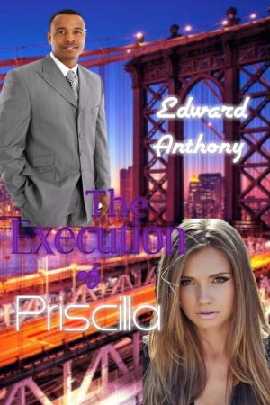 Cover of the book The Execution of Priscilla by Jeff Vrolyks
