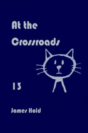 Cover of the book At the Crossroads by James Hold