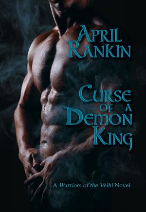 Cover of the book Curse of a Demon King by Andrew Barger