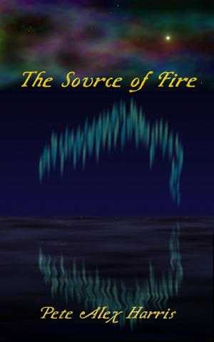Cover of the book The Source of Fire by Steven Montano