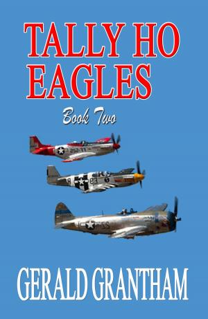 Cover of the book Tally Ho, Eagles... Book Two by Sheldon Friedman