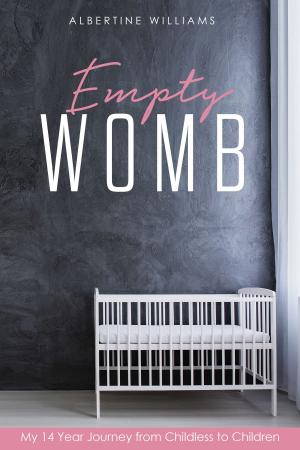 Cover of the book Empty Womb, My 14 Year Journey from Childless to Children by Stephen Davis