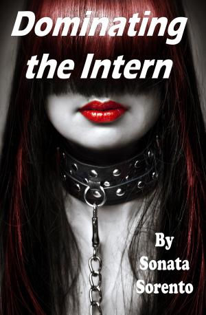 Book cover of Dominating the Intern