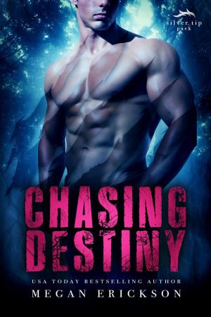 Book cover of Chasing Destiny