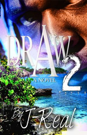 Cover of the book DRAW 2 by David Allan Cates
