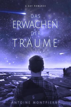 Cover of the book Das Erwachen der Träume: Gay Romance by Jessica Kat