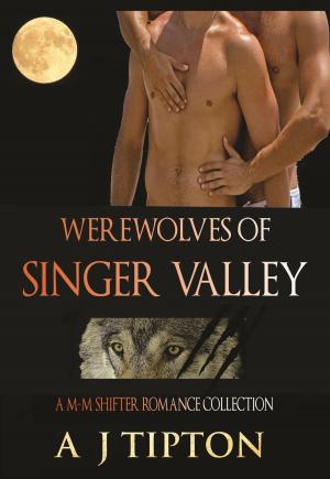 Cover of the book Werewolves of Singer Valley: A M-M Shifter Romance Collection by Kimberly Kinrade