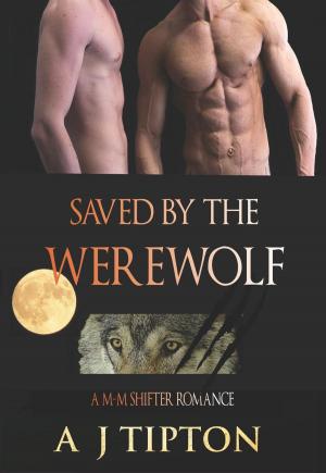 Cover of the book Saved by the Werewolf: A M-M Shifter Romance by AJ Tipton, Daniela Bordeaux