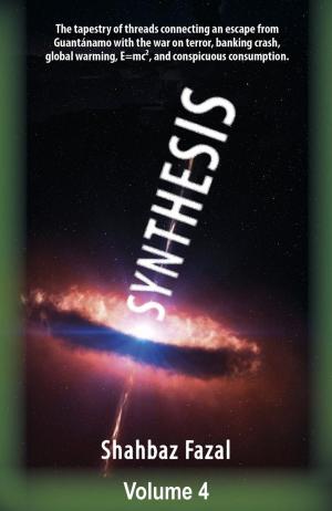 Book cover of Synthesis: Volume 4