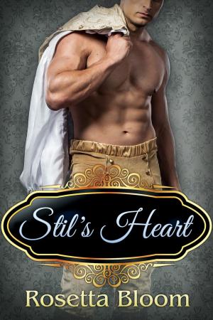 Book cover of Stil's Heart: A Rumpelstiltskin Tale