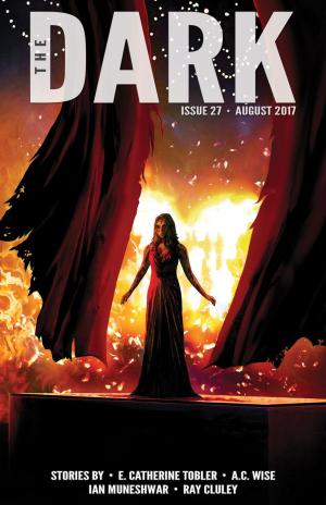 Cover of the book The Dark Issue 27 by Kelly Stewart, Nadia Bulkin, Osahon Ize-Iyamu, Michael Harris Cohen