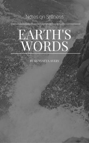 Cover of the book Earth's Words Notes on Stillness by Brandon Barr, Mike Lynch
