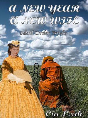bigCover of the book A New Year, A New Wife: Mail Order Bride by 